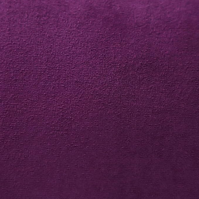 Artscope Luxury Velvet Pillow Covers Super Soft Decorative Rectangle Throw Pillow Covers Case Cushion Covers for Sofa Couch Bedroom Car Decor 16x24 Inch Eggplant Purple