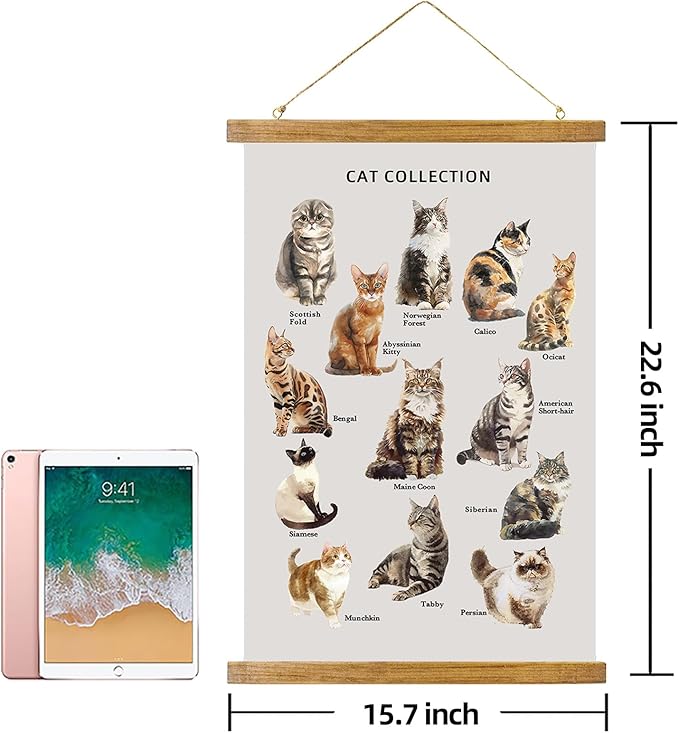 ABoby Vintage Cat Breeds Chart Posters - Pet Wall Art for Homes and Offices - Retro Style Painting with Wood Frames - Ready to Hang