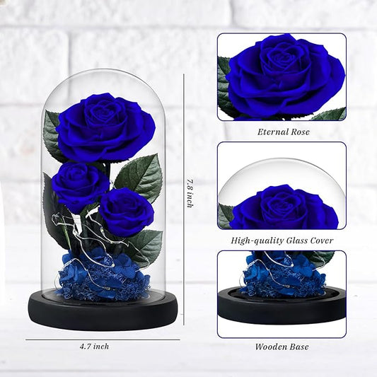 3 Preserved Flowers Roses in Glass Dome with Light for Beauty and The Beast Decor Real Rosas Eternas for Women Mom Birthday,Forever Blue Roses for Delivery,Christmas for Wife Girlfriend Her