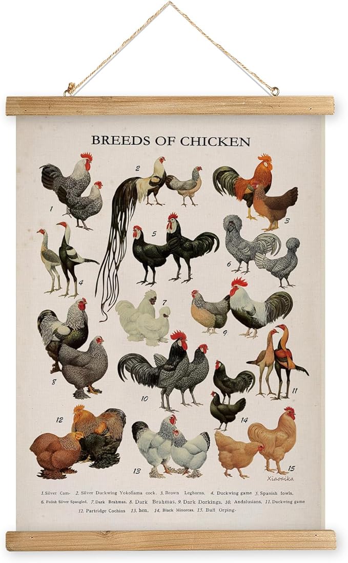 XIAOAIKA Vintage-Inspired Chicken Breeds Art Print - Educational Wall Hanging Poster with Wooden Frame - Rustic Farmhouse Decor, Perfect for Kitchen or Classroom 12 x 16 Inches