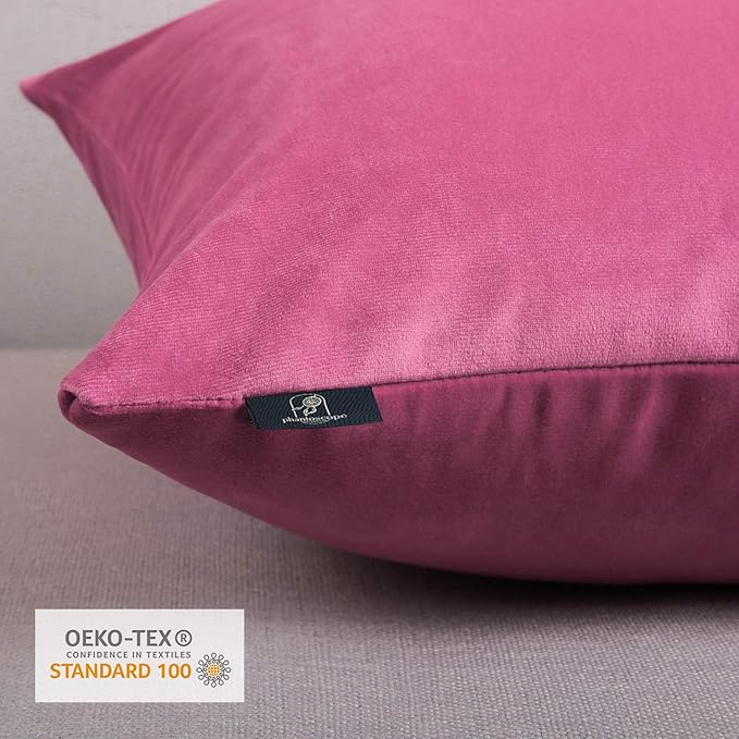 Phantoscope Pack of 2 Velvet Decorative Throw Decorative Pillow Cover Soft Solid Square Cushion Case for Couch Pink 24 x 24 inches 60 x 60 cm