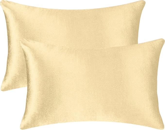 2 Pack 12x20 Pillow Cover Velvet Pillow Covers, Square Throw Pillow Covers for Living Room Decorations Throw Pillow Case, Throw Pillow Cover Cushion Cover for Home Sofa Bedroom Car, Champagne