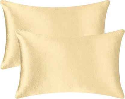 2 Pack 12x20 Pillow Cover Velvet Pillow Covers, Square Throw Pillow Covers for Living Room Decorations Throw Pillow Case, Throw Pillow Cover Cushion Cover for Home Sofa Bedroom Car, Champagne