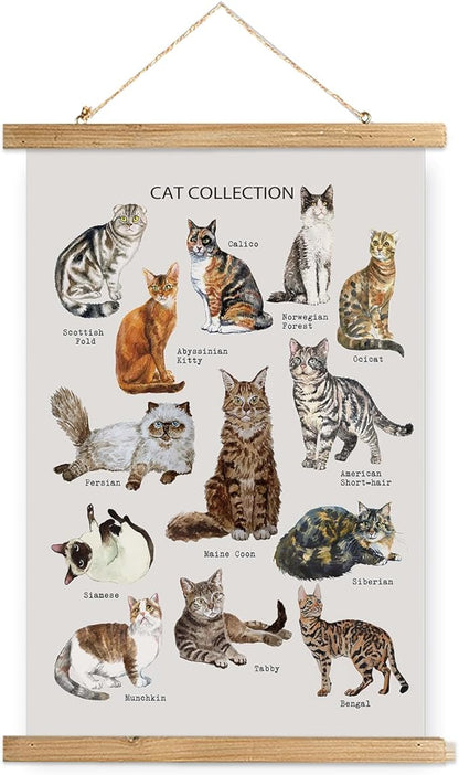 XIAOAIKA Cat Breeds Educational Poster - Illustrated Guide to Popular Feline Varieties with Wooden Scroll Frame - Decorative Wall Art for Cat Lovers and Pet Owners 12 x 16 Inches