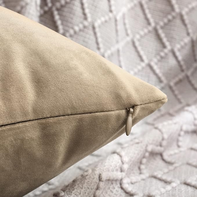 Jeneoo Light Brown Decorative Throw Pillow Covers Velvet Super Soft Thick Solid Square Euro Cushion Cases Pillowcase for Sofa Living Room Decor, Set of 2, 18 x 18 Inches