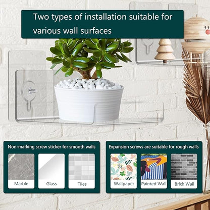 Floating Acrylic Shelves, 4x4 Inch Clear Wall Shelves, Small Plant Display Stand (No Drill Shelf, 4 Pack)