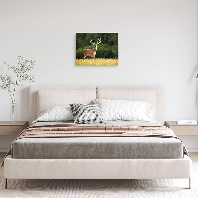 YYYYHPP Canvas Prints with Your Photos, Personalized Photo to Canvas Wall Art,Canvas Printing for Wedding, Family, Baby, Pets, Home Office Decor, Wrapped Frame 16"x12"