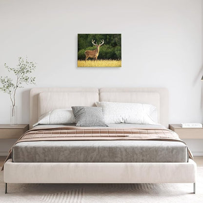 YYYYHPP Canvas Prints with Your Photos, Personalized Photo to Canvas Wall Art,Canvas Printing for Wedding, Family, Baby, Pets, Home Office Decor, Wrapped Frame 16"x12"