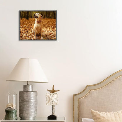 jenesaisquoi Upload Your Photo Image Custom Personalized Photo to Poster Printing Home Decor Wall Art Prints (Black Frame, 10" x 8")