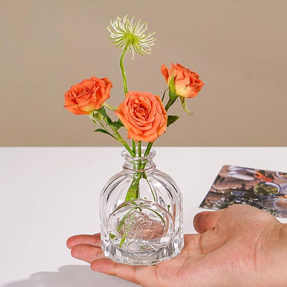 Glass Bud Vases Set of 12, Small Clear Vases for Centerpieces, Mini Glass Vases in Bulk, Vintage Vases Assorted Tiny Flower Vase for Baby Shower Wedding Floral Arrangements Home Table Decorations