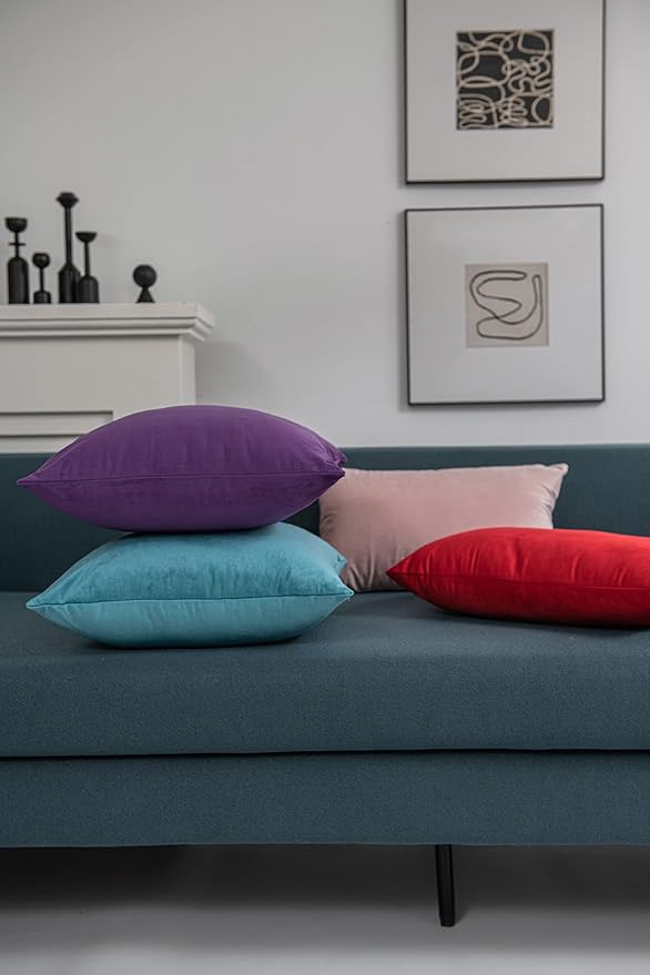 16x16 Throw Pillow Cases Purple: 2 Pack Cozy Soft Velvet Square Decorative Pillow Covers for Farmhouse Home Decor