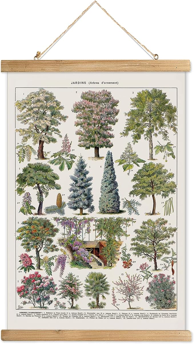 XIAOAIKA Vintage Tree and Shrub Poster - Botanical Educational Retro Wall Art with Wooden Frame for Gardening Enthusiasts and Landscape Designers 20 x 30 Inches