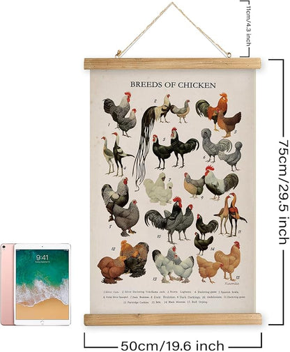 XIAOAIKA Vintage-Inspired Chicken Breeds Art Print - Educational Wall Hanging Poster with Wooden Frame - Rustic Farmhouse Decor, Perfect for Kitchen or Classroom 20 x 30 Inches