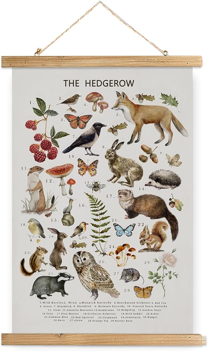 XIAOAIKA British Hedgerow Wildlife Educational Poster - Illustrated Nature Chart with Wooden Frame - Countryside Animals and Plants Wall Art for Home, School, or Nature Reserve Decor 16 x 23 Inches