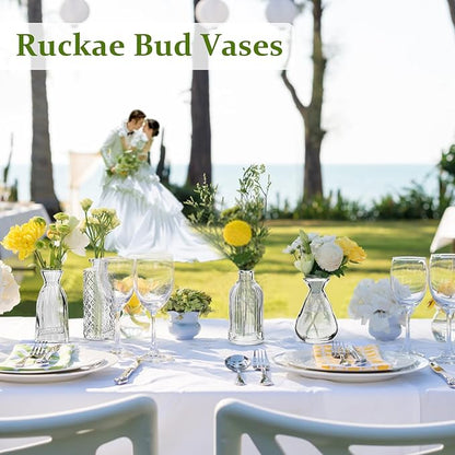 RUCKAE Small Clear Bud Vases Bulk 12 Pack Mini Flower Glass Vases for Centerpiece Table Wedding Decorations Home Decor Party(Transparent)