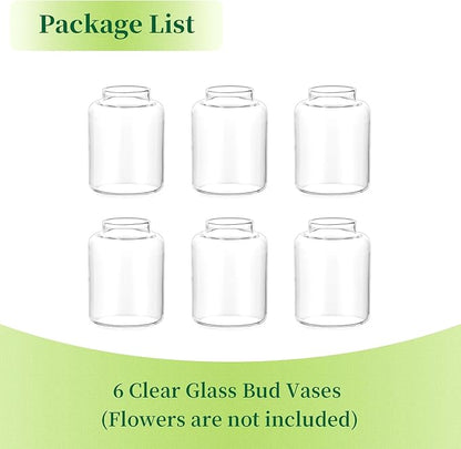 Hewory Mini Bud Vases Set of 6: Small Glass Vases for Flowers, Modern Clear Bud Vase Bulk for Wedding Centerpieces Baby Shower Parties Rehearsal Dinner Table Decorations