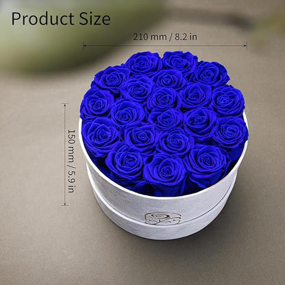 Gifts for Women Preserved Roses Flower Box, Luxury Velvet Box with 20 Roses, Preserved Flowers, Romantic Gift for Her, Wife, Girlfriend, Birthday Anniversary Christmas (Royal Blue)