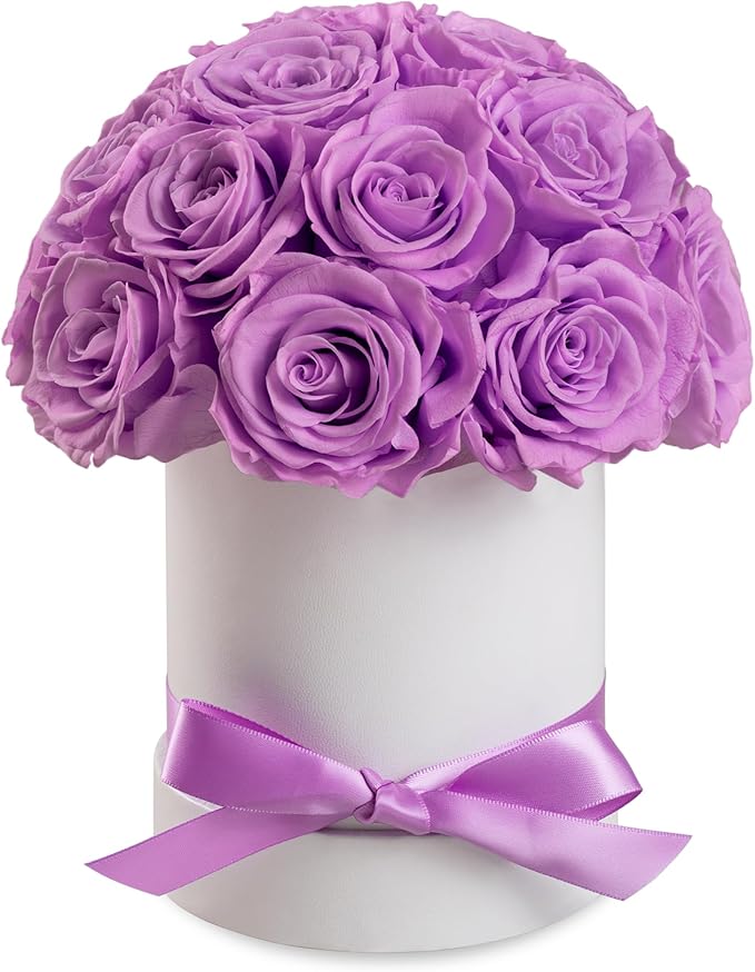 Preserved Roses Dome in a Box, Forever Real Roses Decor, Eternal Flowers for Delivery Prime, Best Gifts Birthday, Wedding, Anniversary, Mother's Day, Christmas for Her, 18-Pieces (Light Purple)