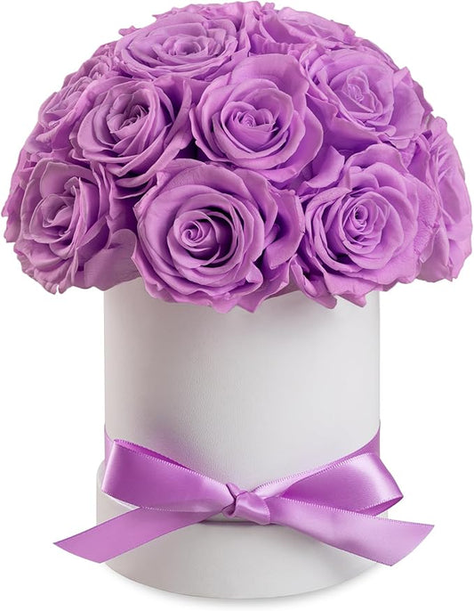 Preserved Roses Dome in a Box, Forever Real Roses Decor, Eternal Flowers for Delivery Prime, Best Gifts Birthday, Wedding, Anniversary, Mother's Day, Christmas for Her, 18-Pieces (Light Purple)
