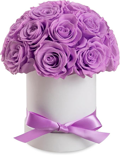 Preserved Roses Dome in a Box, Forever Real Roses Decor, Eternal Flowers for Delivery Prime, Best Gifts Birthday, Wedding, Anniversary, Mother's Day, Christmas for Her, 18-Pieces (Light Purple)