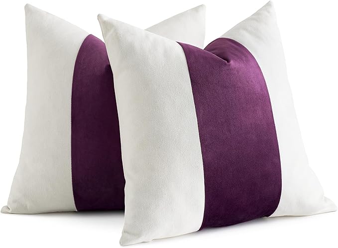 AmHoo Pack of 2 Velvet Panel Cotton Pillow Covers Decorative Pillowcase Cushion for Couch Sofa Bedroom 20 x 20-Inch Dark Purple