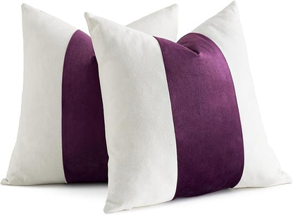 AmHoo Pack of 2 Velvet Panel Cotton Pillow Covers Decorative Pillowcase Cushion for Couch Sofa Bedroom 20 x 20-Inch Dark Purple