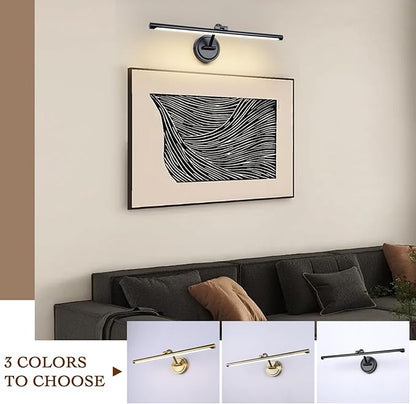 Hardwired 23.6 Inch 14W Black Picture Lights for Wall LED Picture Frame Light Dimmable Painting Lights for Wall Portrait Artwork Warm White