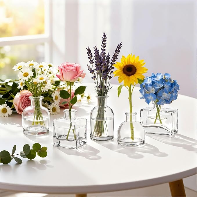 5 Pcs Glass Bud Vases Set, Mini Vintage Bulk Clear Vases for Centerpieces Decor, Cute Tiny Glass Flower Vases for Wedding Party Home Table Decoration