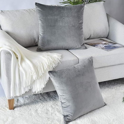 Set of 2 Comfortable Throw Pillow Cover for Bedding, Decorative Accent Cushion Sham Case for Couch Sofa, Soft Solid Velvet with Zipper Hidden - 16"x16", Dolphin Gray