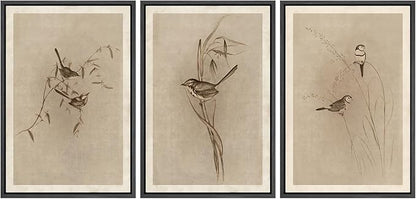 MUDECOR Framed Wall Art Print Set Vintage Bird Wheat Ear Illustrations Modern Art Boho Decorative Colorful Chic for Living Room, Bedroom, Office - 24"x36"x3 Black