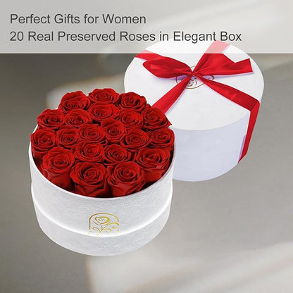 Gifts for Women Preserved Roses Flower Box, Luxury Velvet Box with 20 Roses, Preserved Flowers, Romantic Gift for Her, Wife, Girlfriend, Birthday Anniversary Christmas (Red)