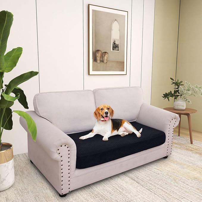 hyha Individual Couch Cushion Covers, Stretch Magic Sofa Seat Cushion Covers Washable, Dog Couch Sofa Slipcover for Pets, Kid with Elastic Bottom(Medium, Black)