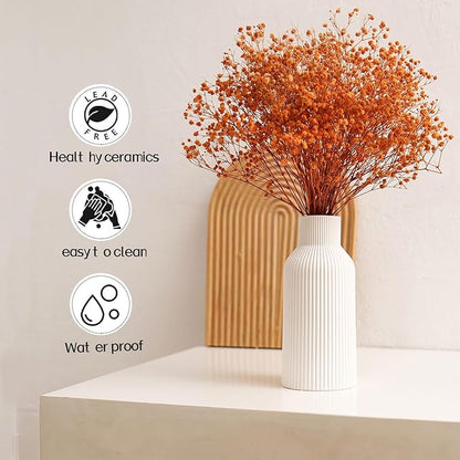Bohemian White Ceramic Vase - for Pampas Grass, Mantel, Bookshelf, Entryway and Living Room Decor (White, 8in)