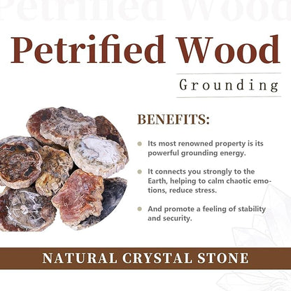 rockcloud 3.3-5" Natural Irregular Petrified Wood Stones Coaster Cup Mat Chakra Healing Stone Specimen 1 PC