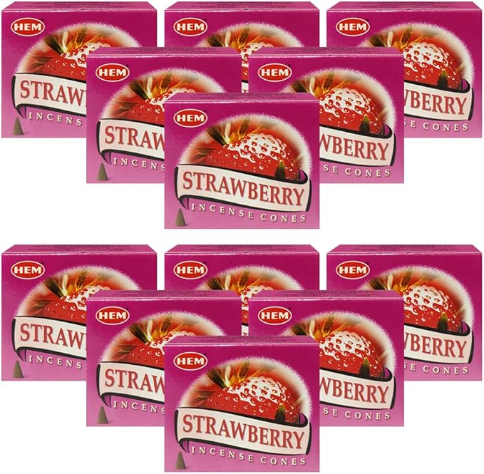 Strawberry Incense Cones and Cone Incense Burner Bundle Insence Insense Hem Incense