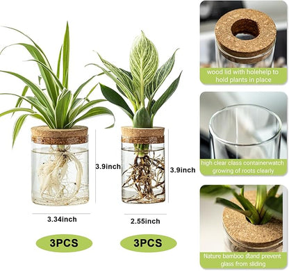 Plant Propagation Station,Hydroponic Glass Container Vase 2 Sizes Planter Propagated Jars for Desks, Houses, Garden Decorations,Home Kitchen Decorations and Gifts cu.20.5 (6pcs)