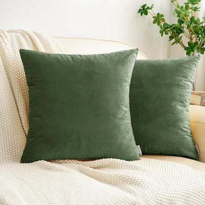 HWY 50 Moss Green Velvet Throw Pillow Covers 16x16 Inch, Pack of 2 Soft Cozy Solid Decorative Luxury Cushion Cases for Couch Sofa Bed Living Room Bedroom