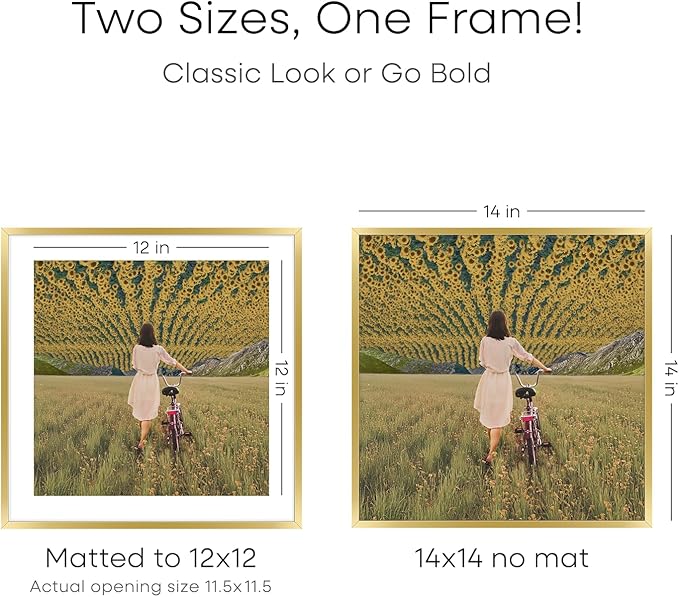 Homeforia 14x14 Picture Frame Gold, High End Metal 14 x 14 Square Poster Frame with Mat 12 x 12 Photo, 14x14 Frame Matted to 12x12 Print, 14by14 Gold Hanging Frames, Tempered Glass, Wall Kit, Set of 3