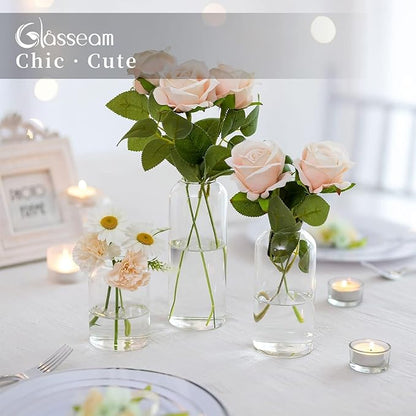 Glasseam Clear Glass Bud Vase, Set of 6 Modern Cylinder for Centerpieces, Blown Craft Aesthetic Decorative Small Flower Vases Bulk for Flowers Rose Tulip Pampas Grass