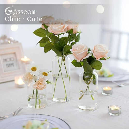 Glasseam Clear Glass Bud Vase, Set of 6 Modern Cylinder for Centerpieces, Blown Craft Aesthetic Decorative Small Flower Vases Bulk for Flowers Rose Tulip Pampas Grass
