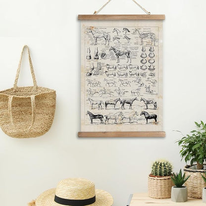 XIAOAIKA Antique-Style Equine Anatomy Chart - Vintage Horse Illustrations Wall Art with Wooden Scroll Frame - Equestrian-Themed Home Decor, Ideal for Horse Lovers and Educators 12 x 16 Inches