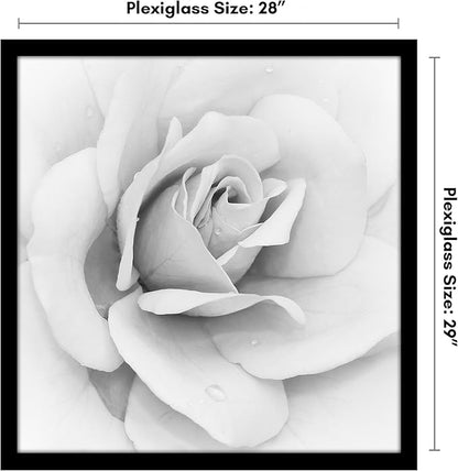 Americanflat 28x29 Poster Frame with Polished Plexiglass - Black Picture Frame - Wide Photo Frames Made of Engineered Wood for Vertical or Horizontal Wall Display - Epic Collection - Black
