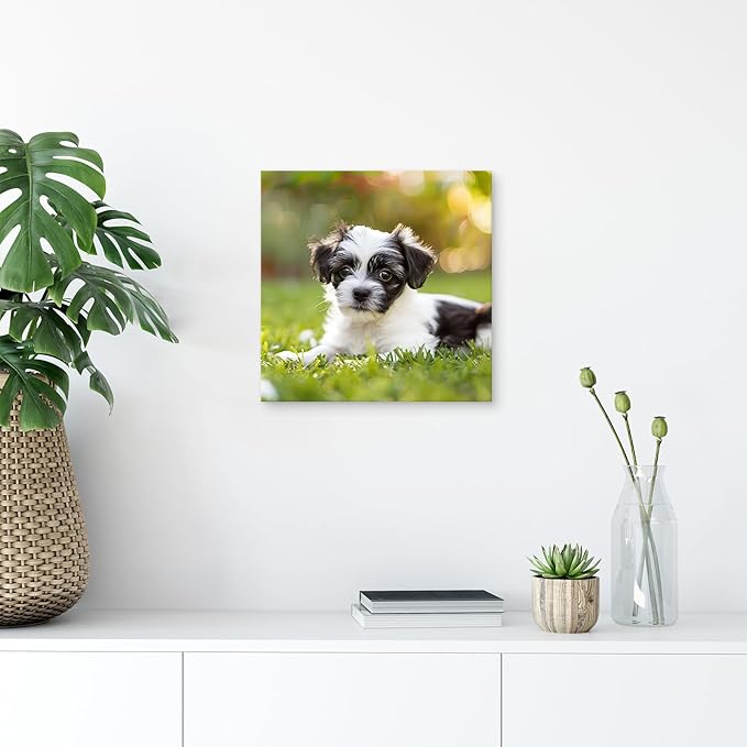 YYYYHPP Canvas Prints with Your Photos, Personalized Photo to Canvas Wall Art,Canvas Printing for Wedding, Family, Baby, Pets, Home Office Decor, Wrapped Frame 10"x10"