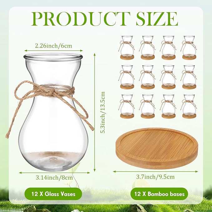 Bulb Glass Vases for Flowers Forcing Hyacinth Clear Decorative Bulb Vase with Round Bamboo Coaster for Home Office Table Decoration(12 Pcs)