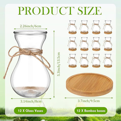 Bulb Glass Vases for Flowers Forcing Hyacinth Clear Decorative Bulb Vase with Round Bamboo Coaster for Home Office Table Decoration(12 Pcs)