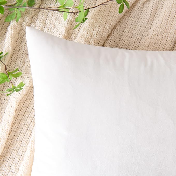EMEMA Pack of 2 Velvet Throw Pillow Covers Decorative Rectangle Pillowcase Soft Solid Cushion Case for Sofa Bedroom Chair Car 12x20 Inch White