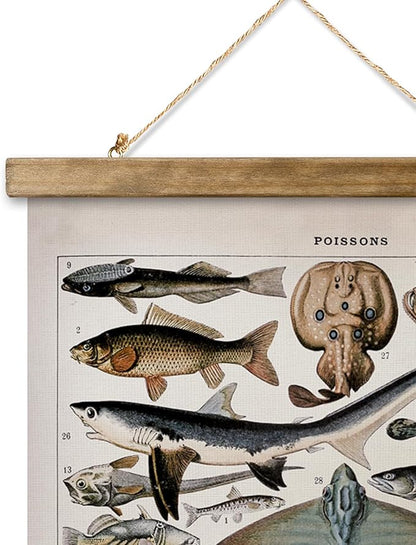 XIAOAIKA Vintage Fish Species Poster - Educational Oceanic Life Chart with Wooden Scroll Frame - Classic Nautical Wall Hanging Decor for Home, Office, or Classroom 12 x 16 Inches