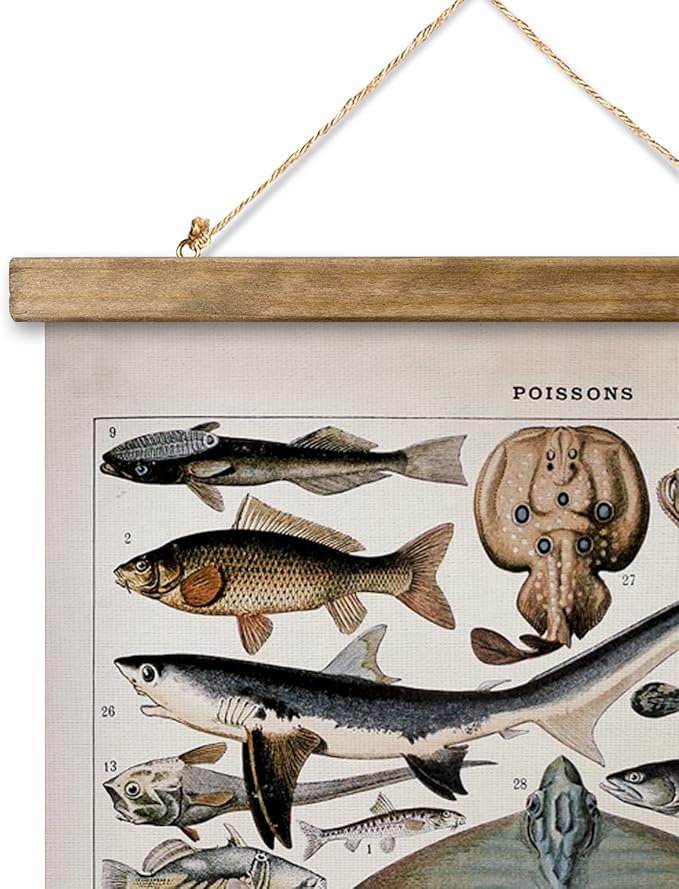 XIAOAIKA Vintage Fish Species Poster - Educational Oceanic Life Chart with Wooden Scroll Frame - Classic Nautical Wall Hanging Decor for Home, Office, or Classroom 20 x 30 Inches