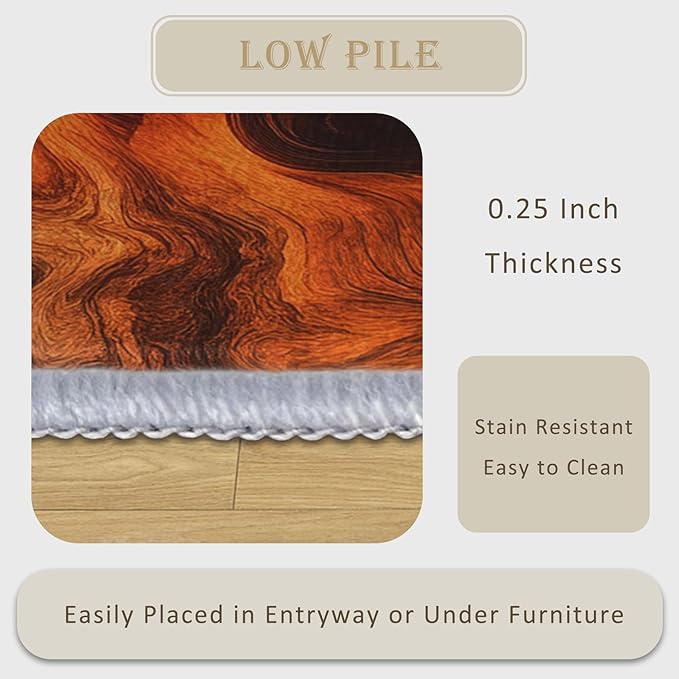 Abstract Swirl Throw Rug 2x3, Washable Psychedelic Spiral Rugs for Entryway Bedroom Kitchen, Contemporary Art Area Rug for Home Decor, Non Slip Backing Indoor Floor Mat Carpet with Gripper