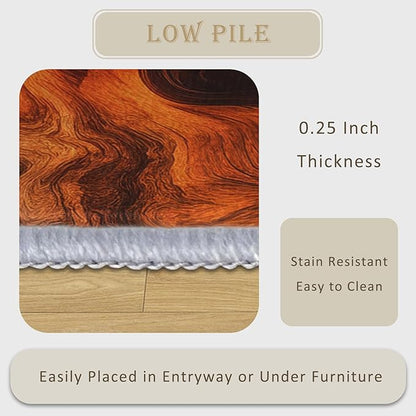Abstract Swirl Rug 5x6, Washable Psychedelic Spiral Rugs for Living Room Bedroom, Contemporary Art Area Rug for Home Decor, Non Slip Backing Floor Carpet with Gripper - 5 x 6 ft